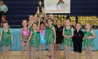 2015 Showcase